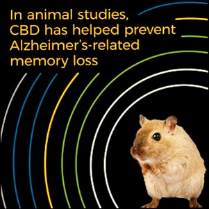 En estudios con animales, el CBD ha ayudado a prevenir la pérdida de memoria relacionada con el Alzheimer