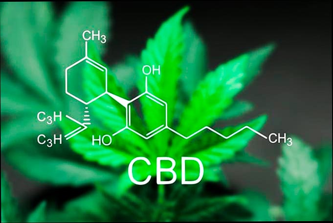 Estructura molecular del CBD