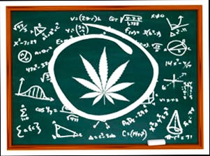 Importancia de la educación sobre el CBD