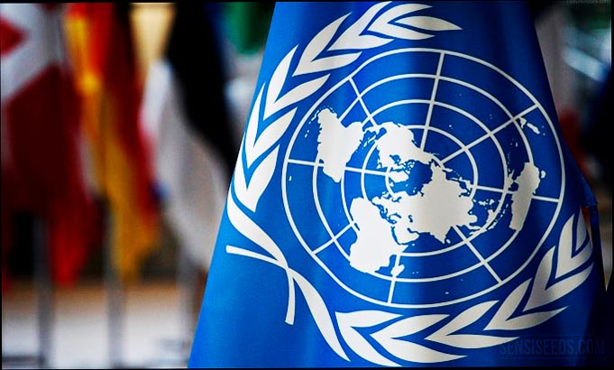 Bandera de la ONU