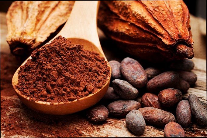 Poder del cacao