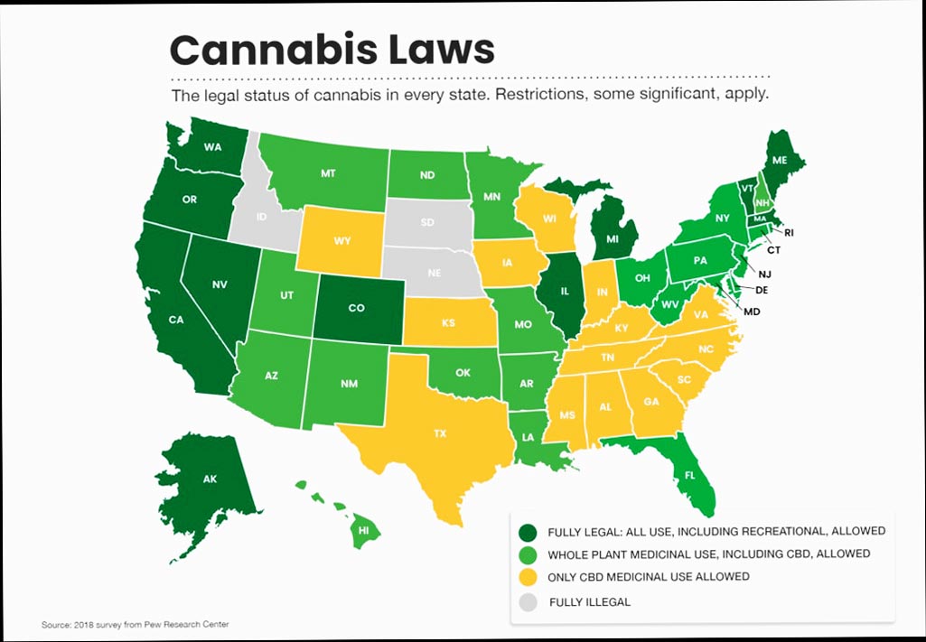 ¿Qué es el cáñamo? El estado legal del cannabis en EE. UU.