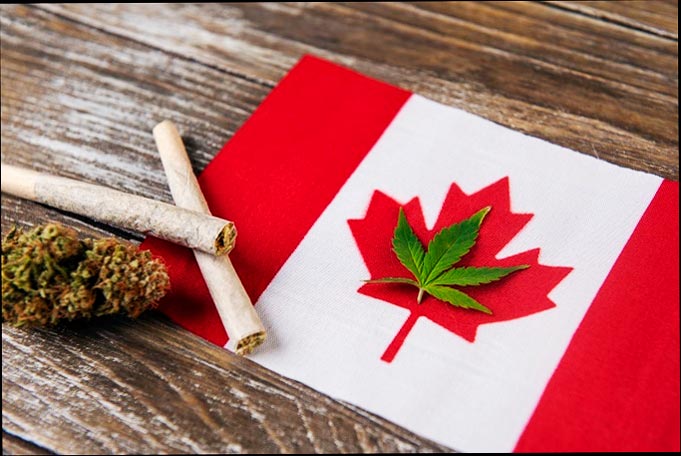 Cannabis en la bandera de Canadá